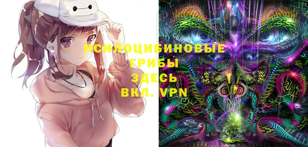 ГАЛЛЮЦИНОГЕННЫЕ ГРИБЫ Белоозёрский
