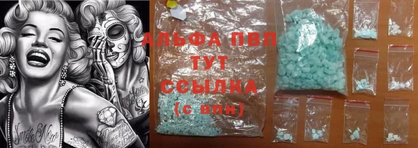 гашик Белокуриха
