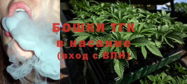 гашик Белокуриха