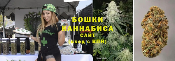 ГАЛЛЮЦИНОГЕННЫЕ ГРИБЫ Белоозёрский