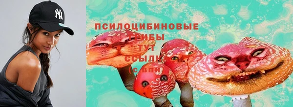 соль ск Беломорск