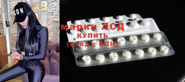гашик Белокуриха